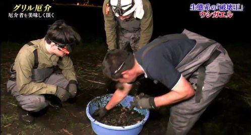 牛哥最新爆料新闻,最新爆料新闻背后的惊人真相